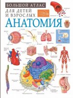 БольшойАтласДляДетейИВзрослых Анатомия (Спектор А.А.)