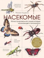 ПодарочныеИзд_ЖиваяПрирода Насекомые Илл.энц.начинающего энтомолога 240 популярных видов,которые обитают рядом с нами (Куценко М.)