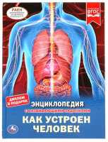 ЭнцСРазвивЗаданиями(Умка)(тв)(б/ф) Как устроен человек [диплом в подарок]