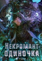 YoungAdult(Эксмо)(тв) Jijumjang. Некромант-одиночка Т. 1