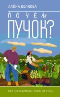 ОгороднаяМагия_АВотИОгород! Почем пучок Как выращивать свою зелень (Волкова А.П.)