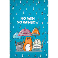 _SketchBook(Полином) Блокнот д/зарисовок "No rain no rainbow" [96л.;105х148;лам.обложка] (3164)