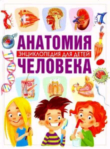 Скиба Т.В. Анатомия человека Энц.д/детей (ред.Скиба Т.,Феданова Ю.,Голотина Л.)