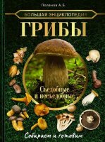 БольшаяКоллекция Грибы Съедобные и несъедобные Собираем и готовим (Поленов А.Б.)
